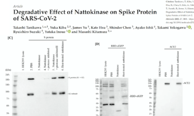 Nattokinase