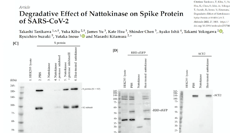 Nattokinase