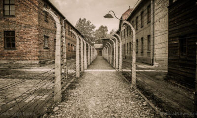 Holocaust-Auschwitz-Prison-Camp-Memorial-Nazi-Criminal