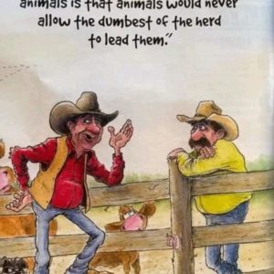 Dumbest of the Herd