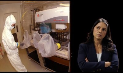 Biolabs-Tulsi-Gabbard-DNI